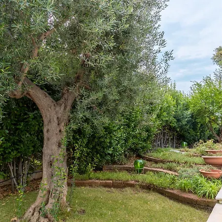 Poggio Villa Torre a Mare